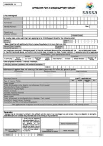 how to fill affidavit for a child support grant